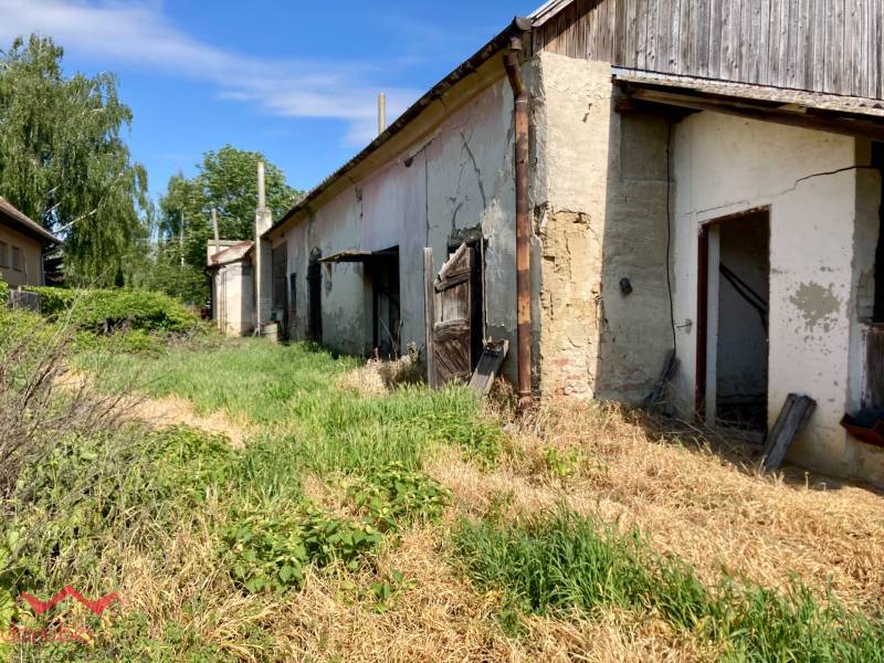 Pozemok, starý rodinný dom, na predaj, Vlčany, Šaľa, Danubioreal, realitná kancelária, Helena Schulczová, Komárno