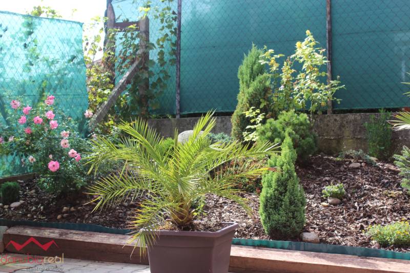 zeleň u posezení.jpeg