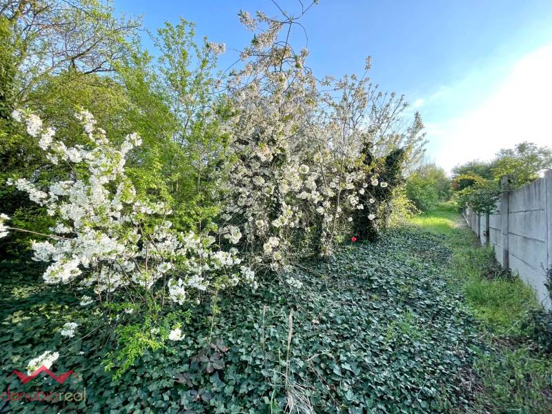Rodinný dom, na predaj, veľký pozemok, 3094 m2, Dulovce, Danubioreal- realitná kancelária, Helena Schulczová