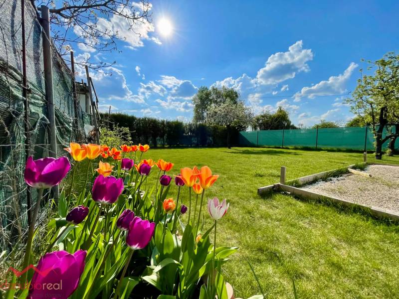 Na predaj, záhrada, chata, Nová Osada, Komárno, Danubioreal- realitná kancelária, Helena Schulczová