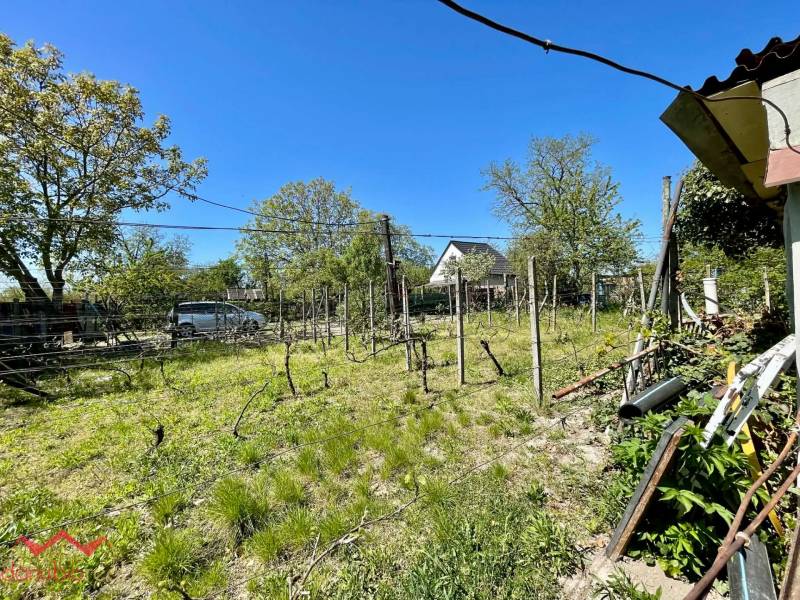 Celoročne obývateľný rodinný dom, záhrada, chata, na predaj, s bazénom, vínna pivnica, Komárno- Nová Stráž, Danubioreal- realitná kancelária, Helena Schulczová