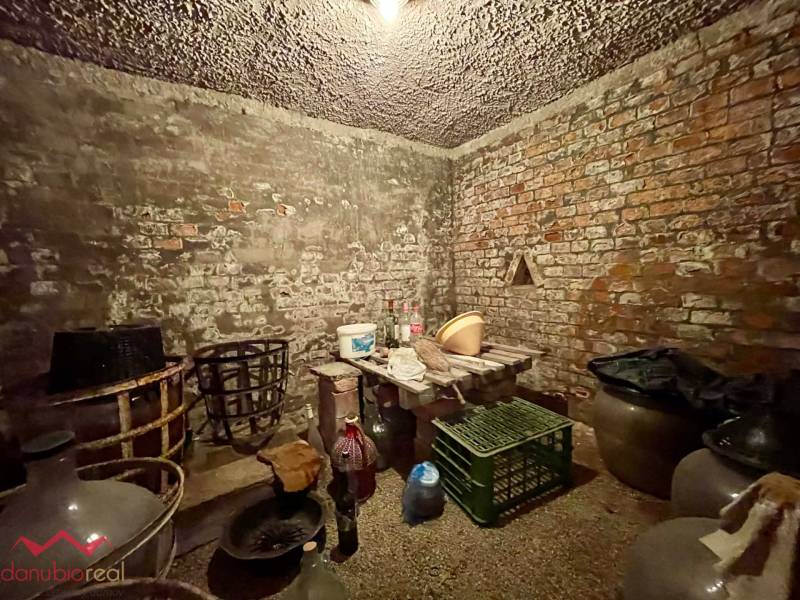 Celoročne obývateľný rodinný dom, záhrada, chata, na predaj, s bazénom, vínna pivnica, Komárno- Nová Stráž, Danubioreal- realitná kancelária, Helena Schulczová