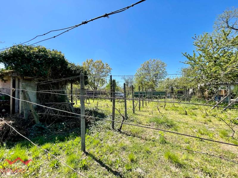 Celoročne obývateľný rodinný dom, záhrada, chata, na predaj, s bazénom, vínna pivnica, Komárno- Nová Stráž, Danubioreal- realitná kancelária, Helena Schulczová